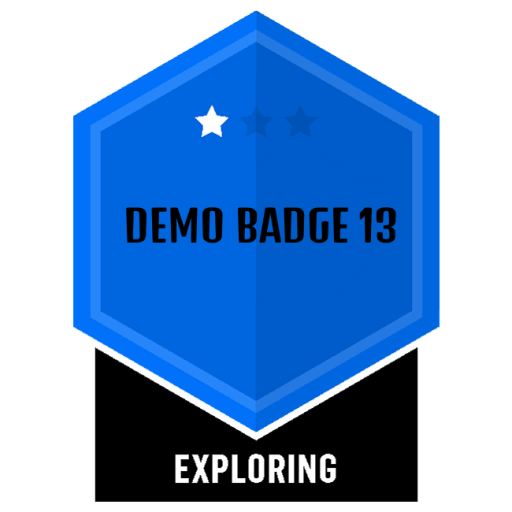Demo badge 13